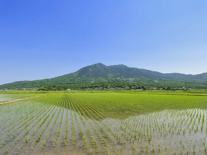 山の風景